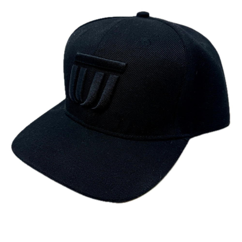 Dude Authentic Disc Golf Apparel Snapback Hat Black 3D Logo OSFM Cap